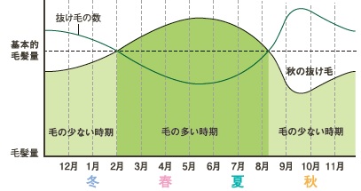 育毛専門医が教える 抜け毛q A 女性のための育毛講座