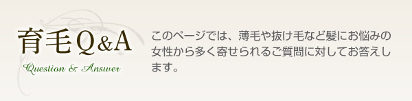 髪の毛の仕組み