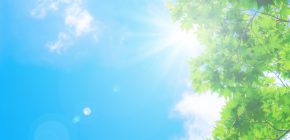 「紫外線ダメージ」から頭皮と髪を守る