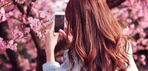 春の育毛シーズンに突入!男女の薄毛の違いを知りましょう 春の育毛シーズンに突入!男女の薄毛の違いを知りましょう
