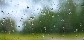 頭皮環境を悪化させる　湿度と気温の上昇に要注意！